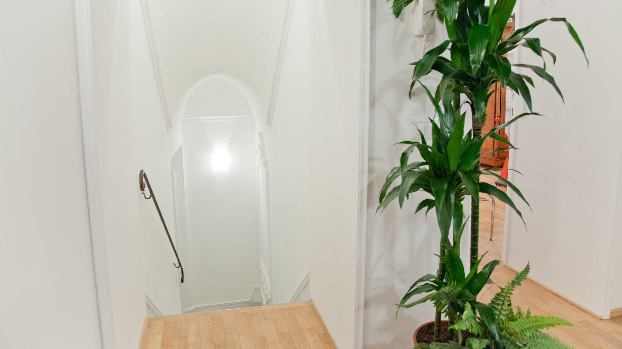 Apartamento In Center